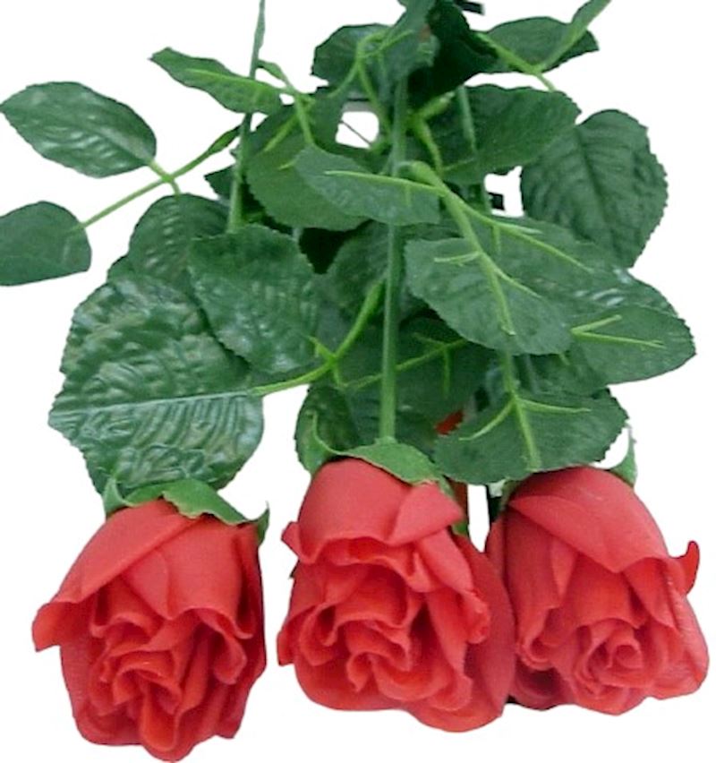 Rosen rot 60 cm 