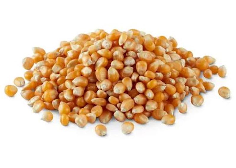 Popcorn-Mais Mr. Pop Lemarc Rosemary, Sack à 25 kg