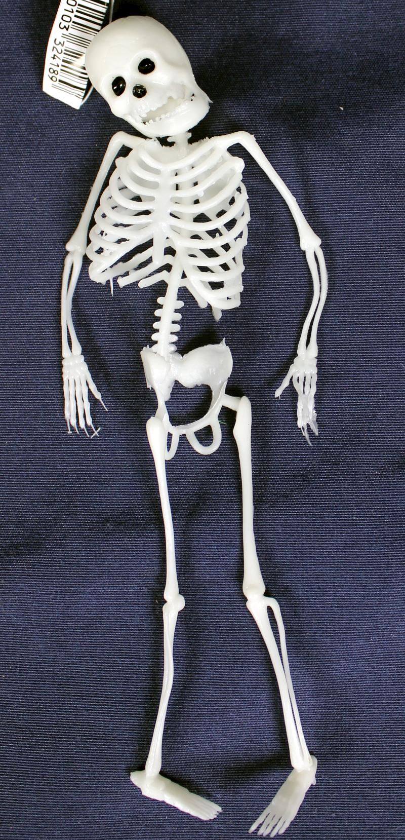 Squelette PVC 22 cm 