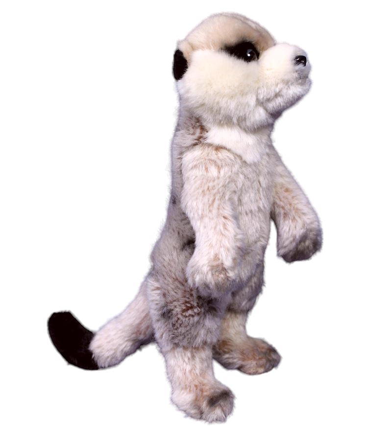 Peluche Meerkats 24 cm 