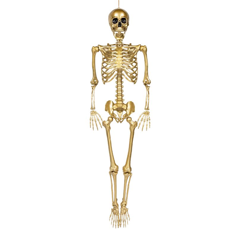 Skelett gold,  160 cm 