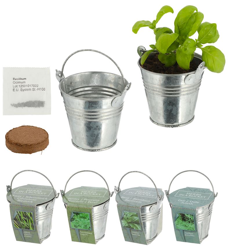 Zinkeimer mit Kokosquellpad & Samen Kräuter sort. 6 cm