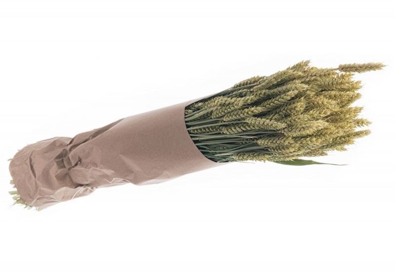 Bouquet bleu vert naturel 65cm 260gr.