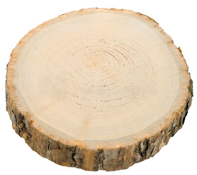 Rondelle en bois 17x2xm 