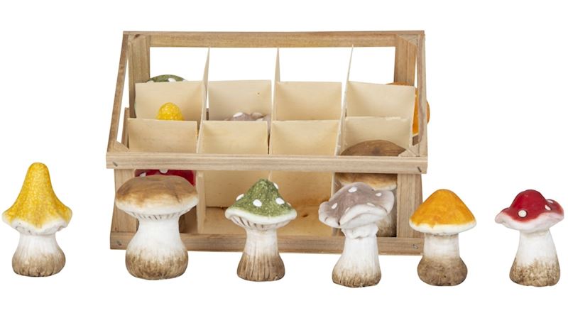 Deko Pilze 7.5 cm Set 12 Stk. in Holzbox 23x17cm 6xsort.