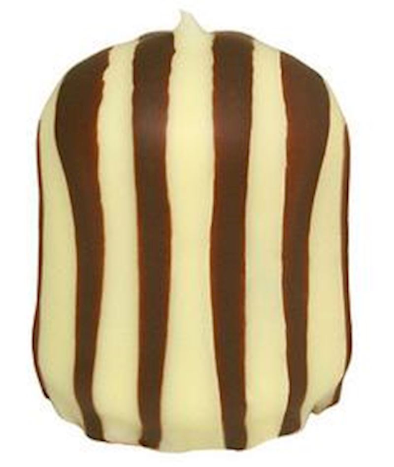 Tête au chocolat zebra blanc et noir Tourmaline