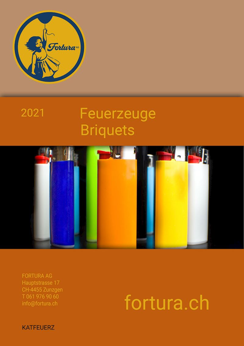 Catalogue briquets 