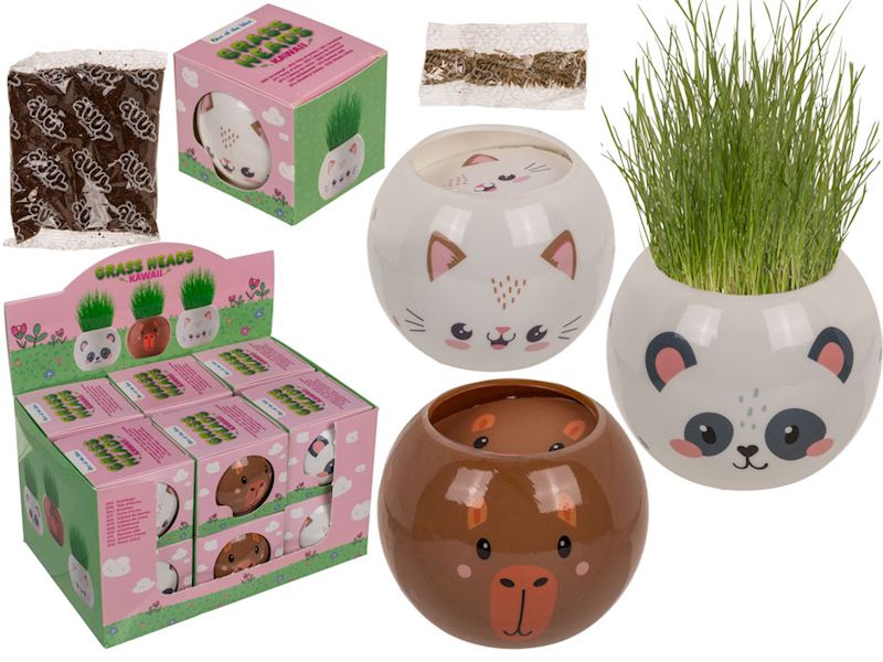 Topf mit Tiergesicht, Erde und Grassamen, 3 sort. Graskopf