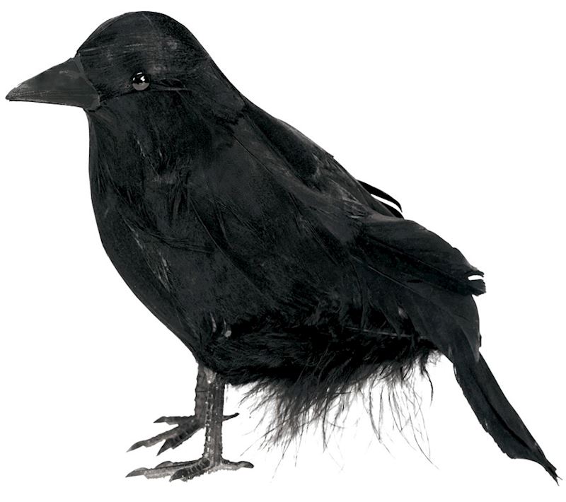Décoration corbeau noir 17 cm 