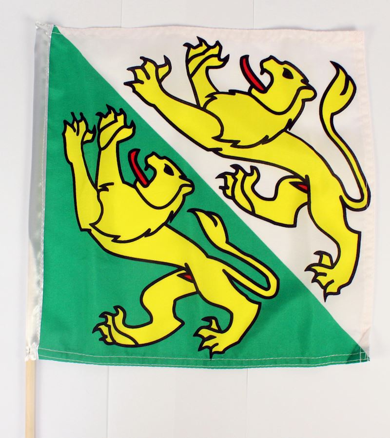Drapeau cabton TG 30x30 cm 