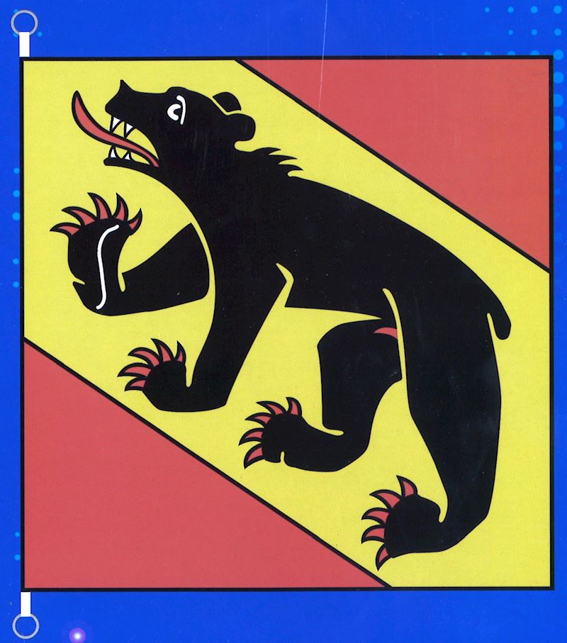 Drapeau canton BE 150x150cm 