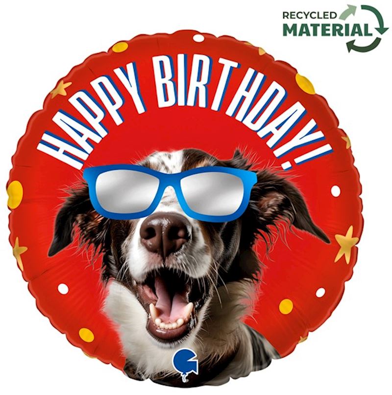 Ballon alum. chien cool happy birthday 46 cm emballé indiv.