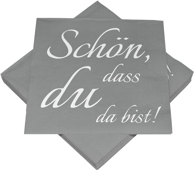 20 Servietten 33x33 cm mit Spruch schön, dass du da bist