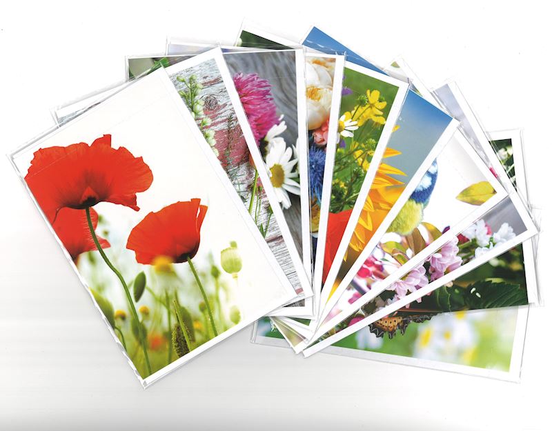 Glückwunschkarte 11.5 x 17 cm Blumen, 10 sort.