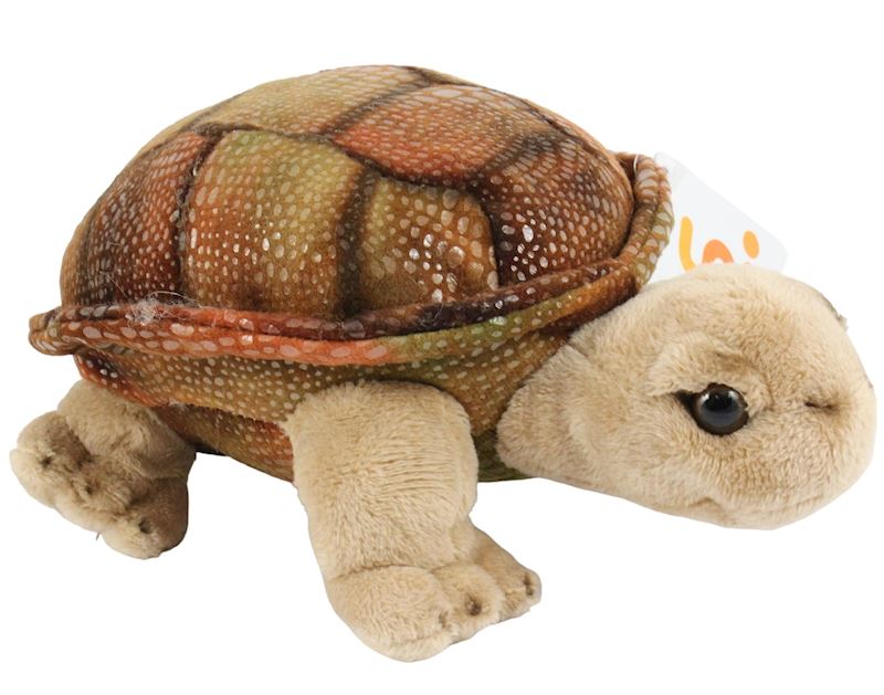 Peluche tortue 
