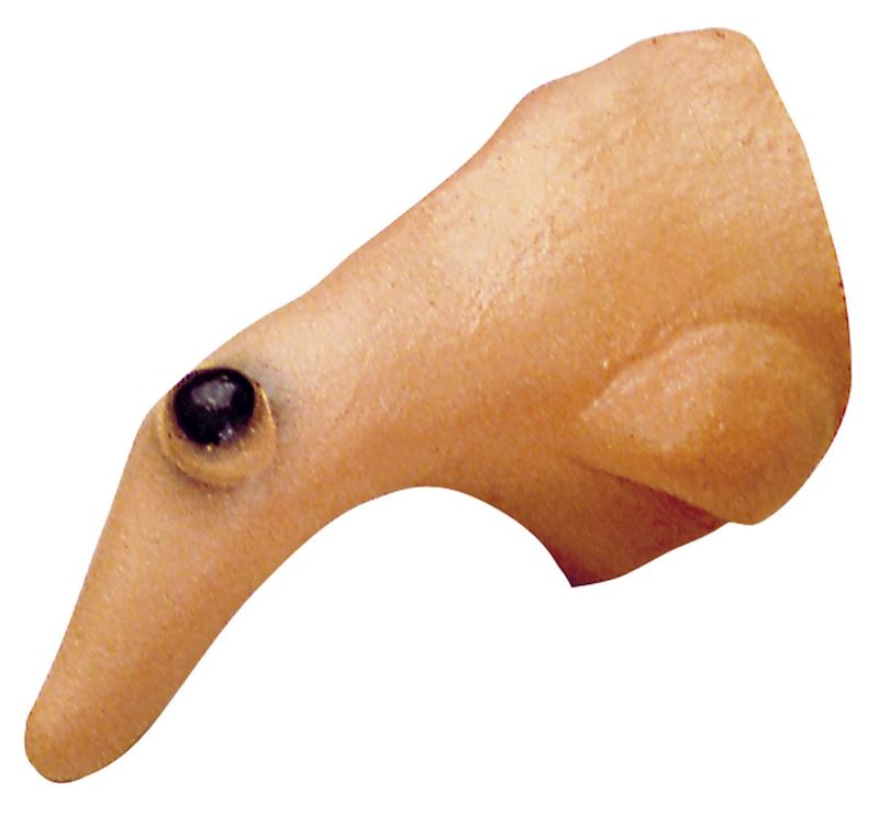 Nez de sorcière 