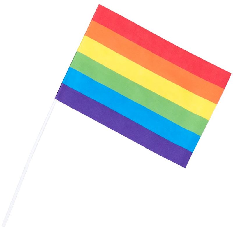 Bannière de main arc en ciel 6pc 20x14x40 cm