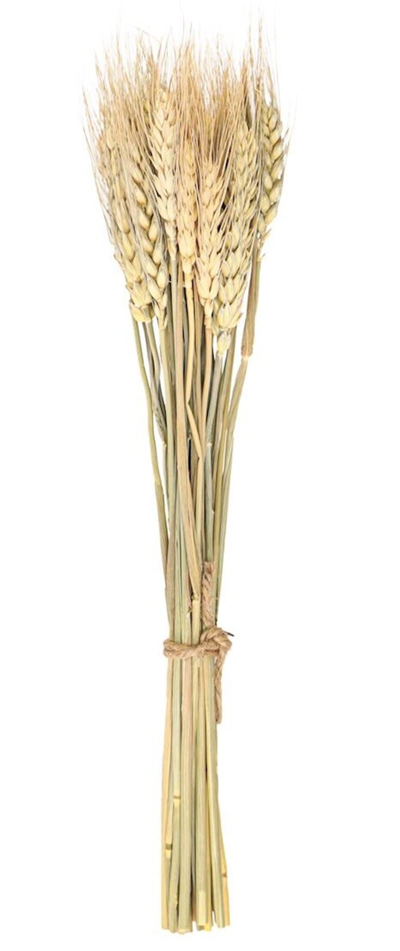 Bouquet 24 epis de ble 35 cm 