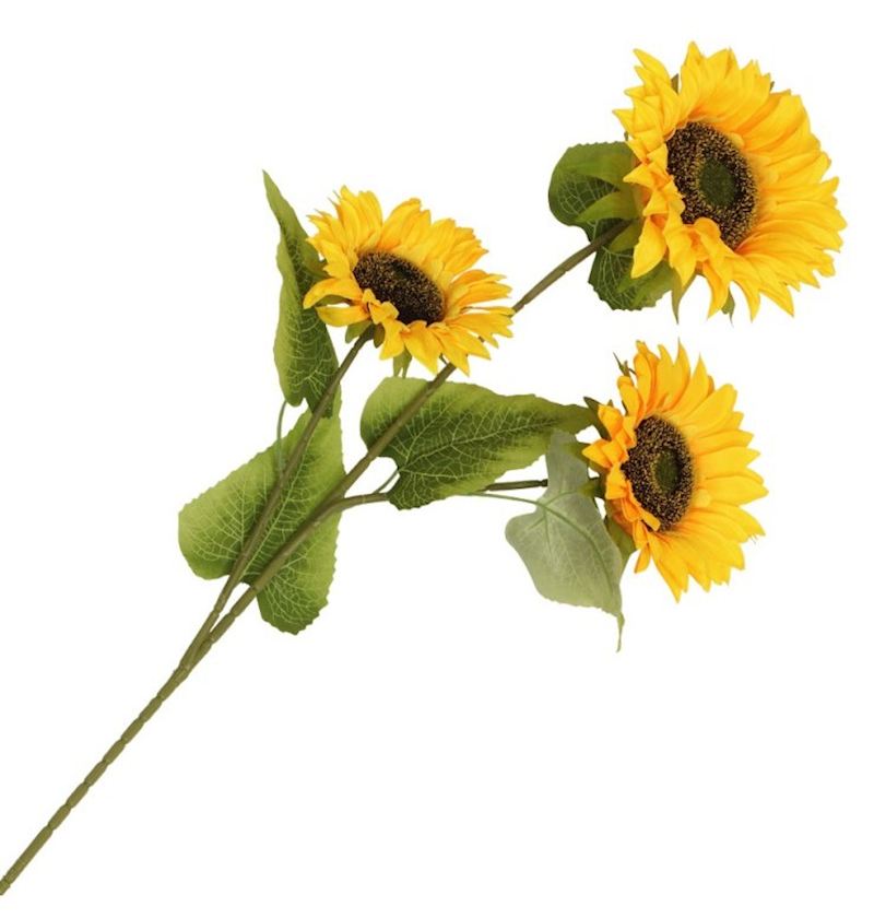 Tournesols 3er 32x12x94 cm