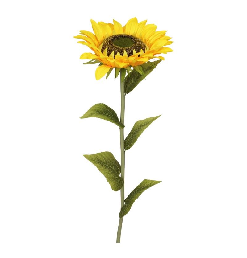 Tournesols 30x25x130 cm 