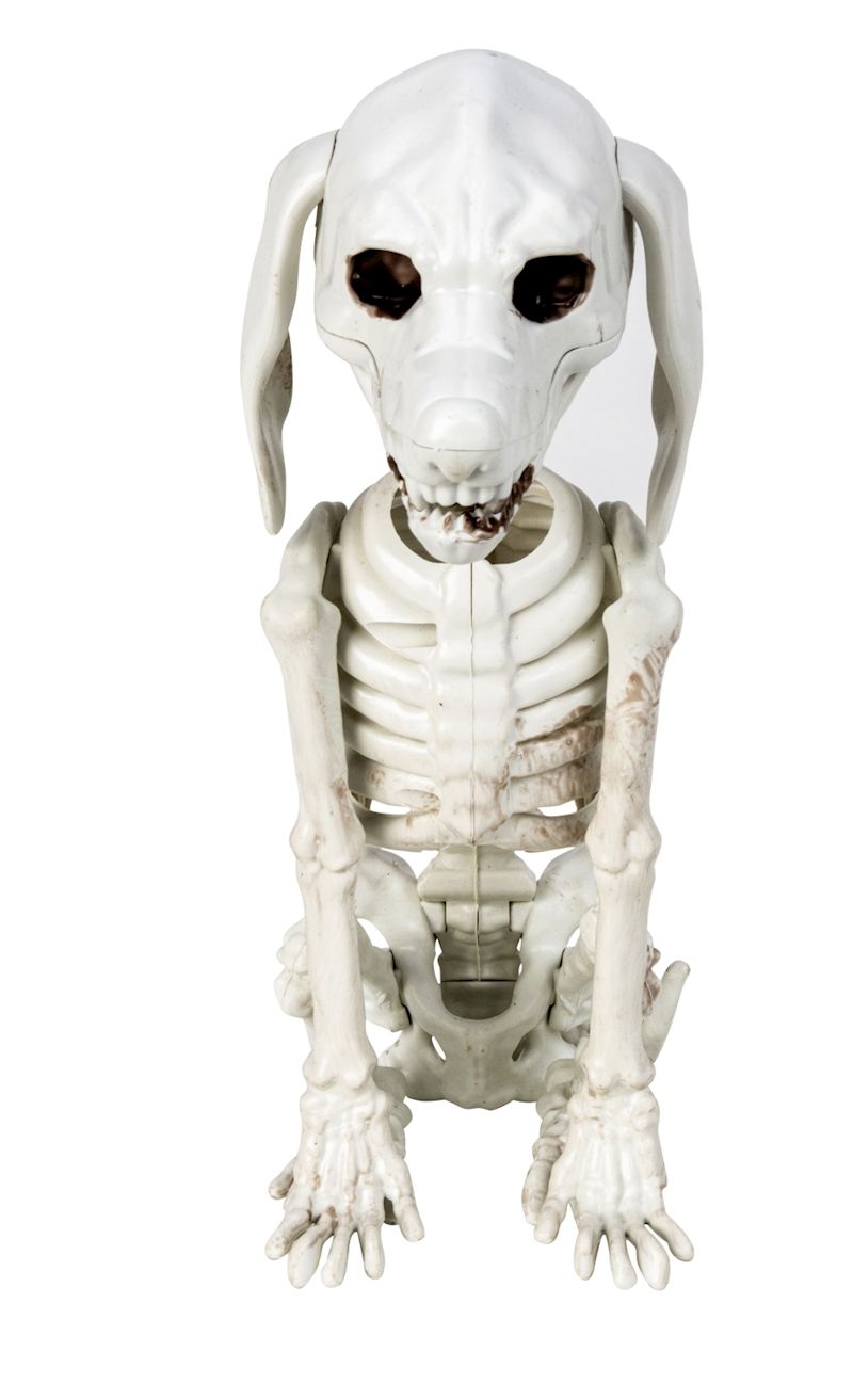 Hundeskelett sitzend 25 cm 