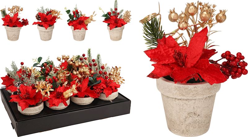 Etoile de Noël dans le pot 4 ass.