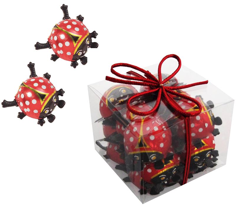 Schokoladen Glückskäfer 100 g in Geschenkpack