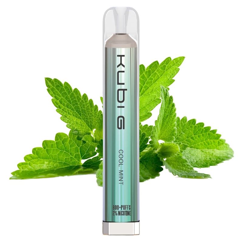 E-Shisha jetable avec nicotine Cool Mint