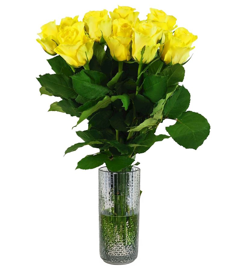 Langstiel Rosen ca. 50-60 cm div. Farben Bund à 20 Stk.