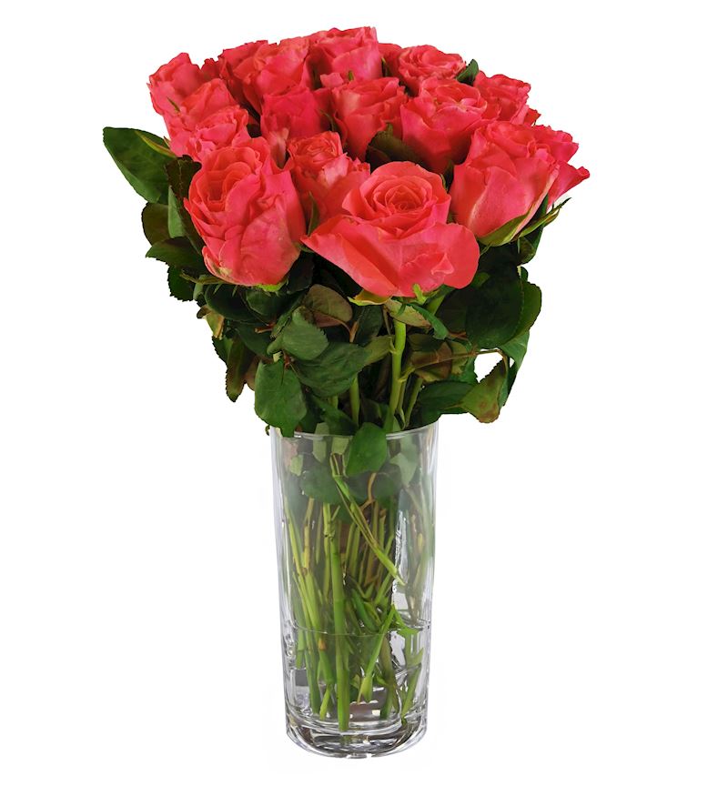 Rosen ca. 30-40 cm. div. Farben Bund à 20 Stk.