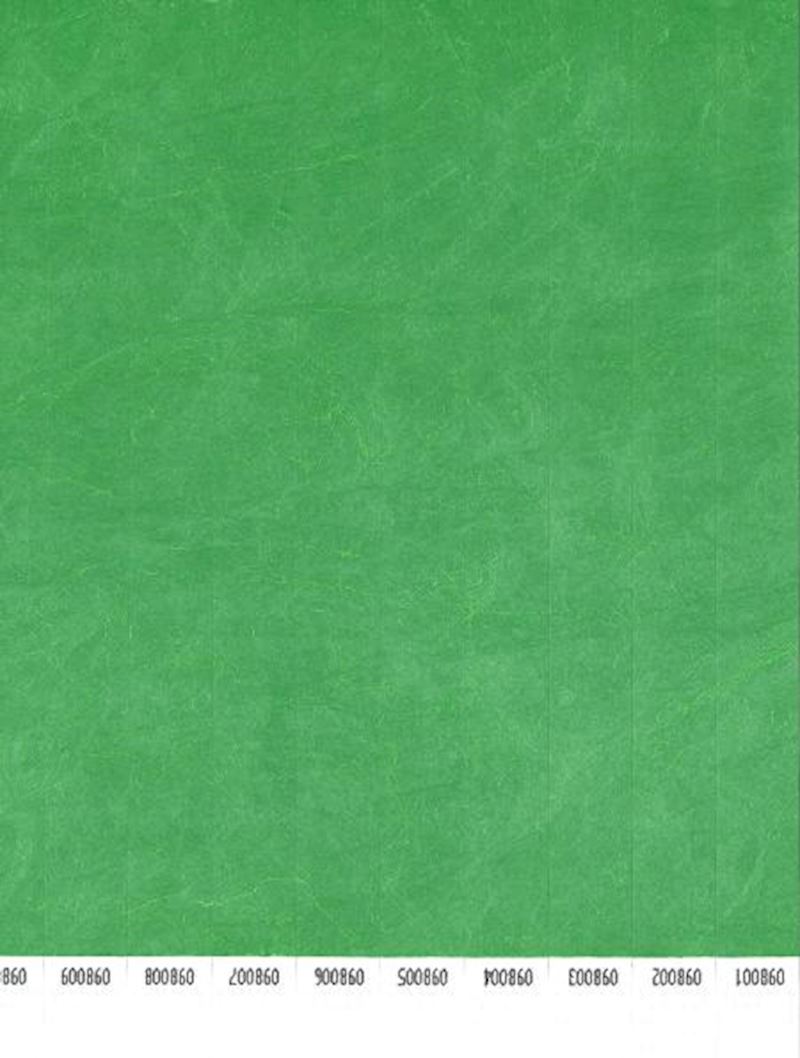 Bracelets de contrôle vert seulement dans boîte de 1000