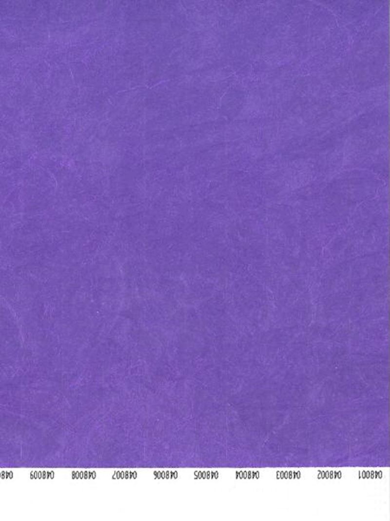 Identcontroller 19 mm violett Preis pro 100 Stk