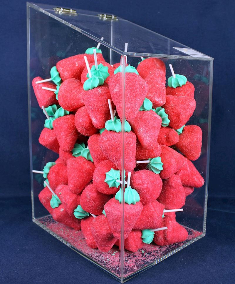 Acryl-Box mit Deckel für lose Zucker-Erbeeren 30/40x25x20 cm