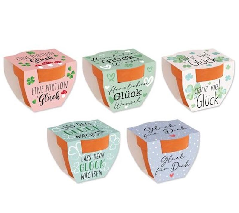 Mini pot en terre cuite Trèfle porte-bonheur, 5 ass.