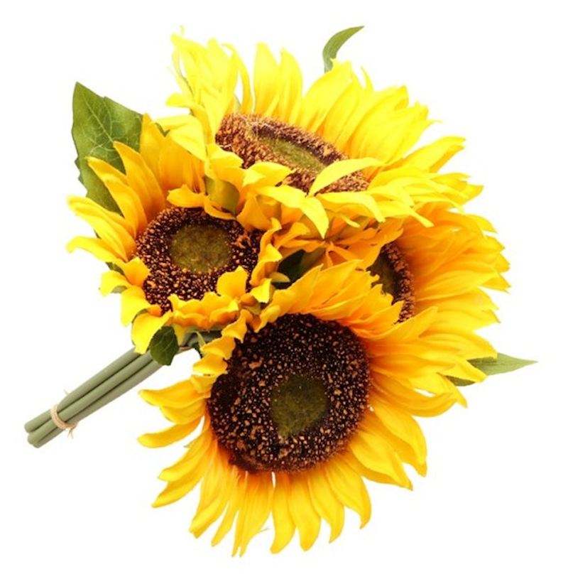 Bouquet tournesols 21x25 cm