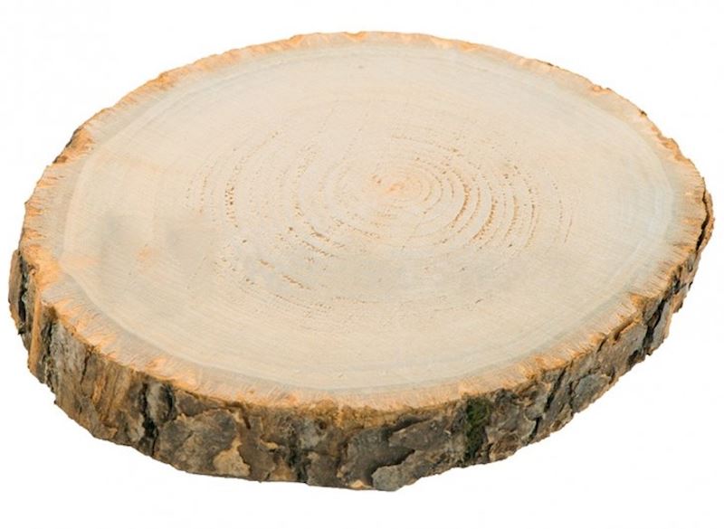 Holzbrett Rund Höhe 2 cm circa 26-29 cm Ø