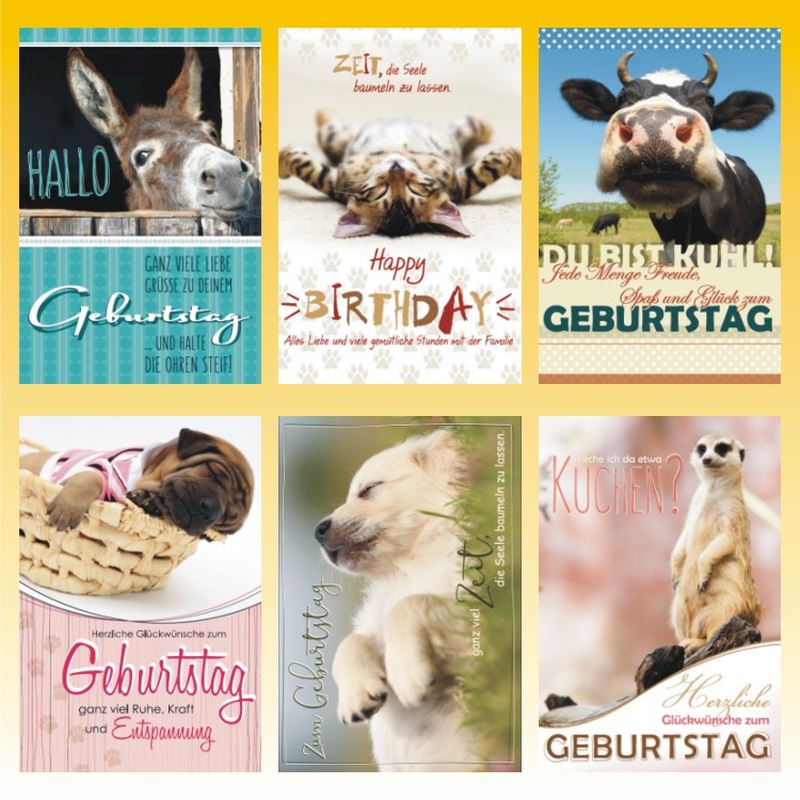 Carte anniversaire 11.5x17cm 6 ass.