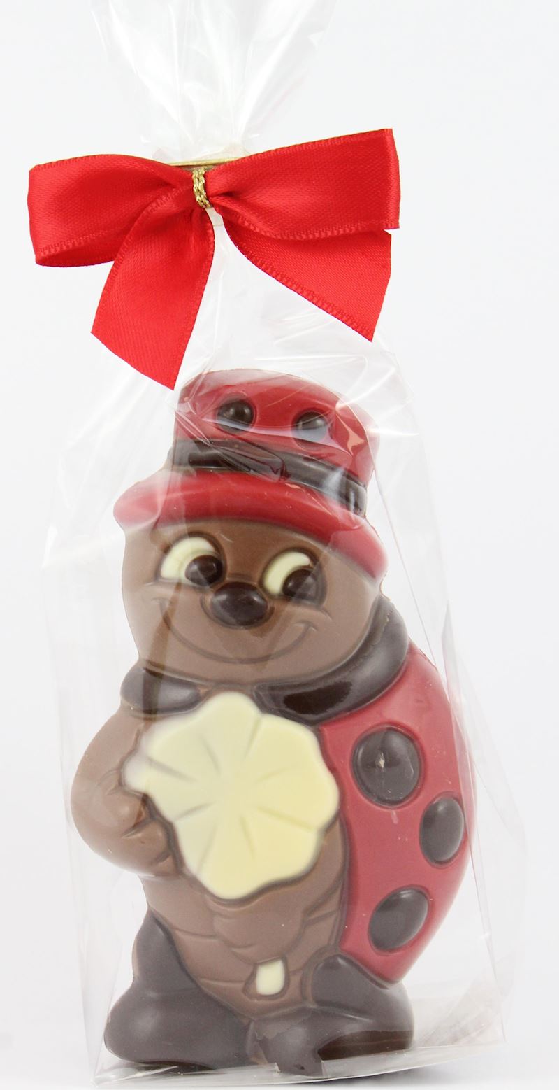 Schokoladen Glückskäfer mit Kleeblatt, 10cm, 60 g